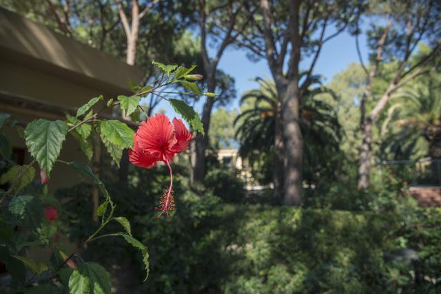 Aparthotel Abbaechelu Santa Margherita di Pula Exterior foto